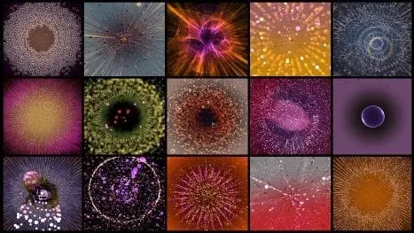 Different generative artworks in Leo Villareal NFT collection