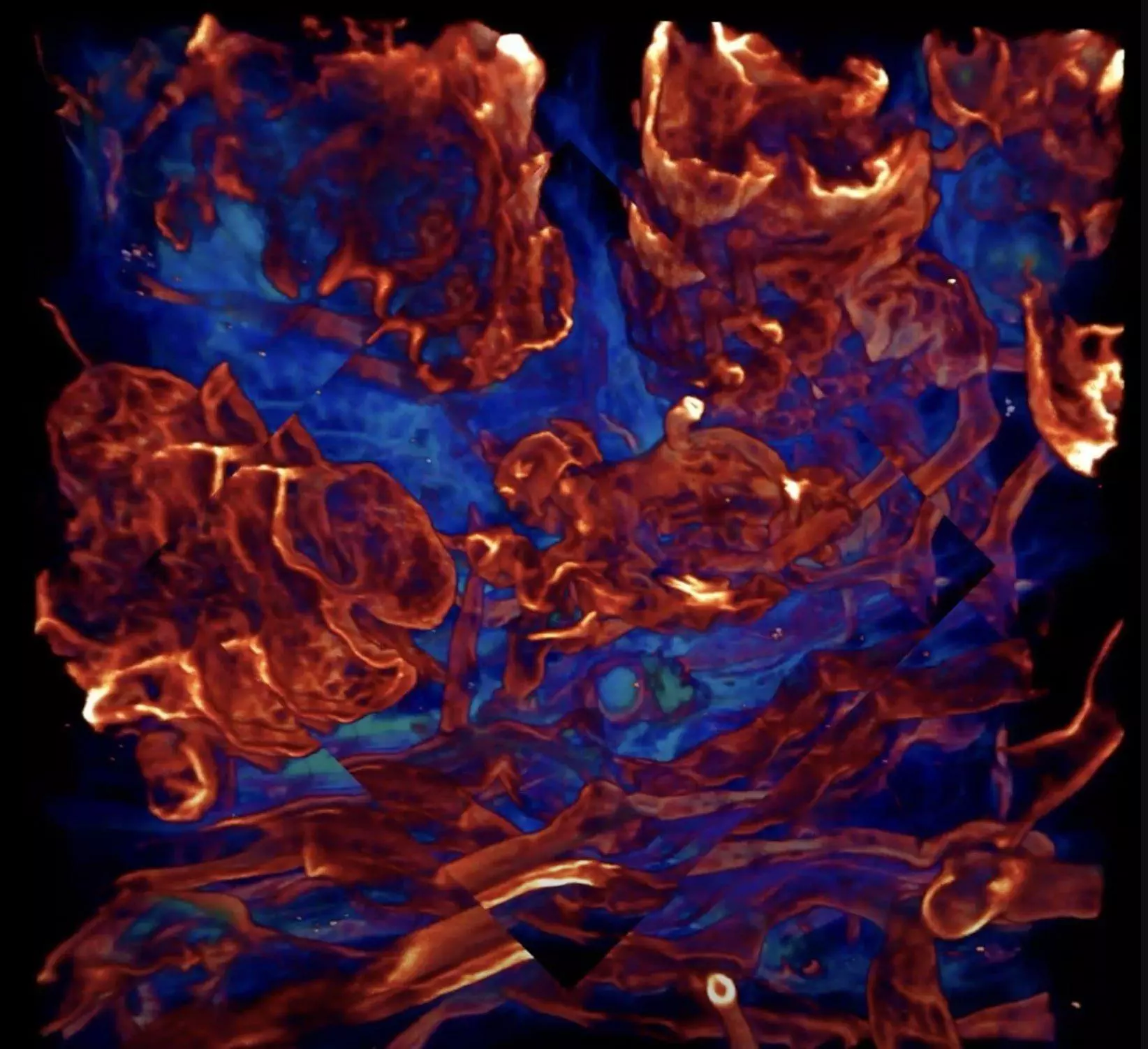 Artistic image of fungal network in shades of blue and red