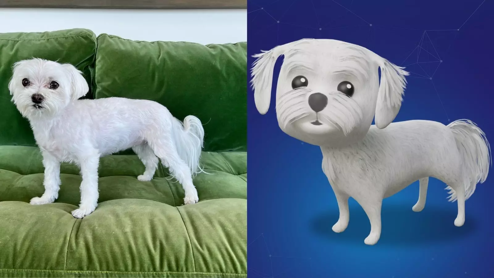 image of a Petaverse dog NFT alongside a real photo of a dog