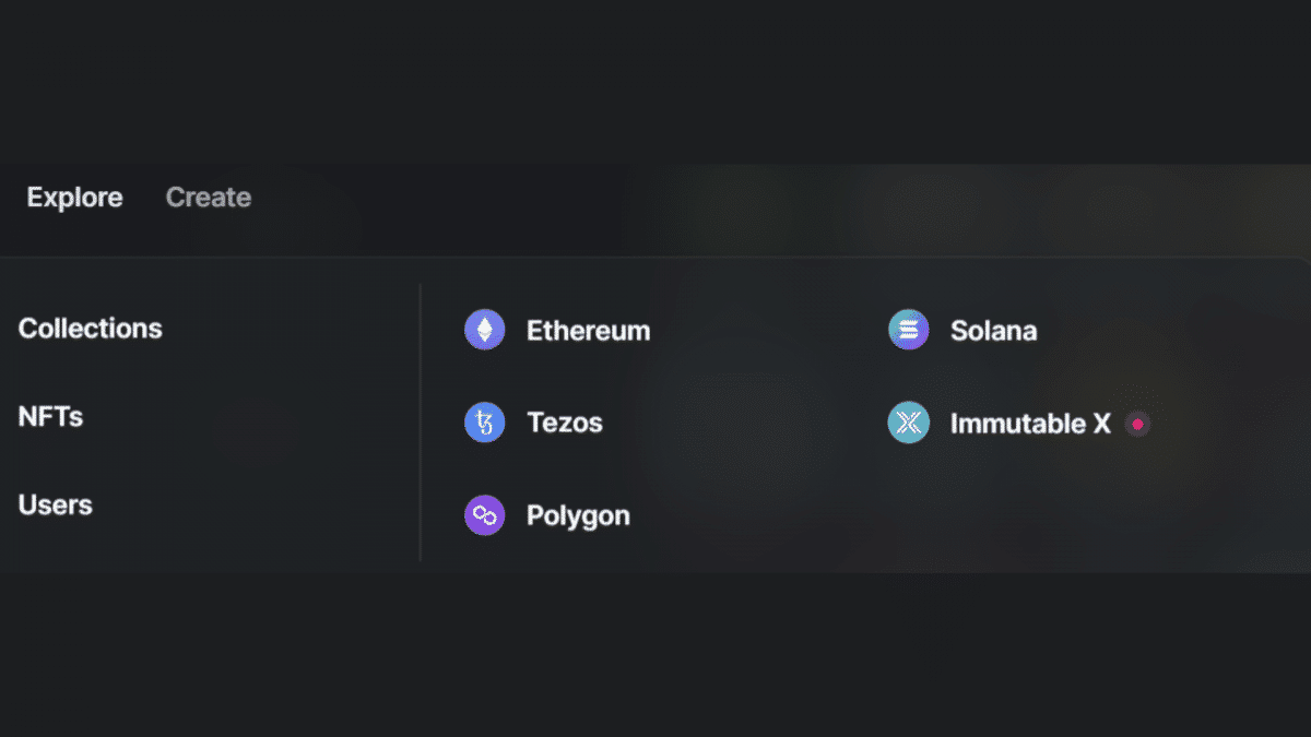 image of all the blockchains on rarible marketplace